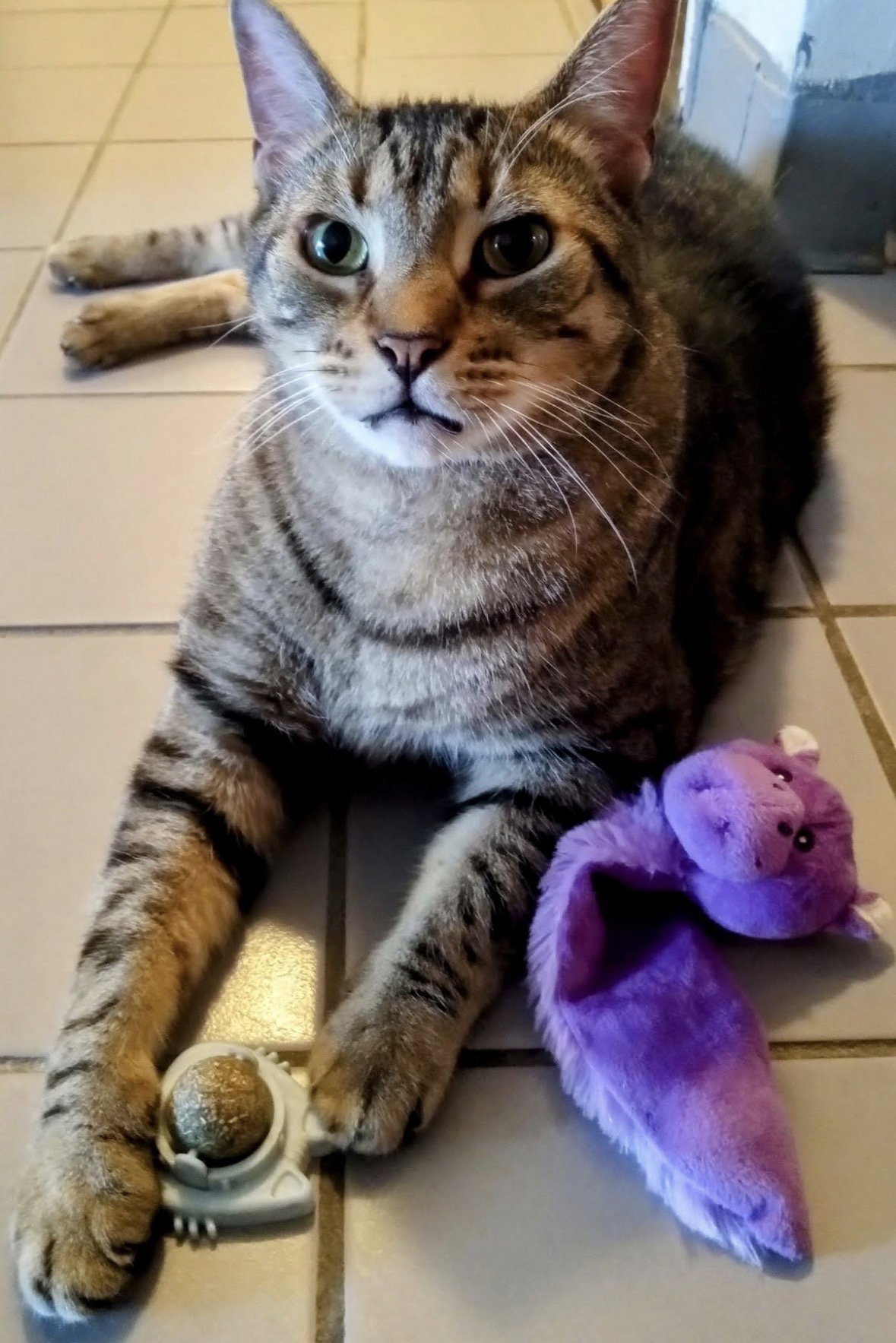 Buddy Image
