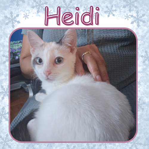 Heidi