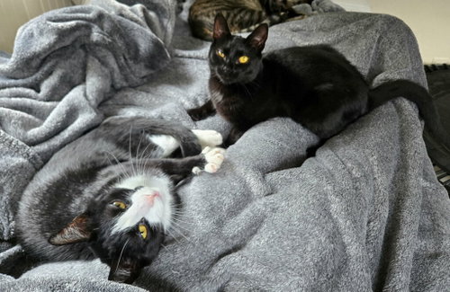 Photo 4 of Mocha and Latte