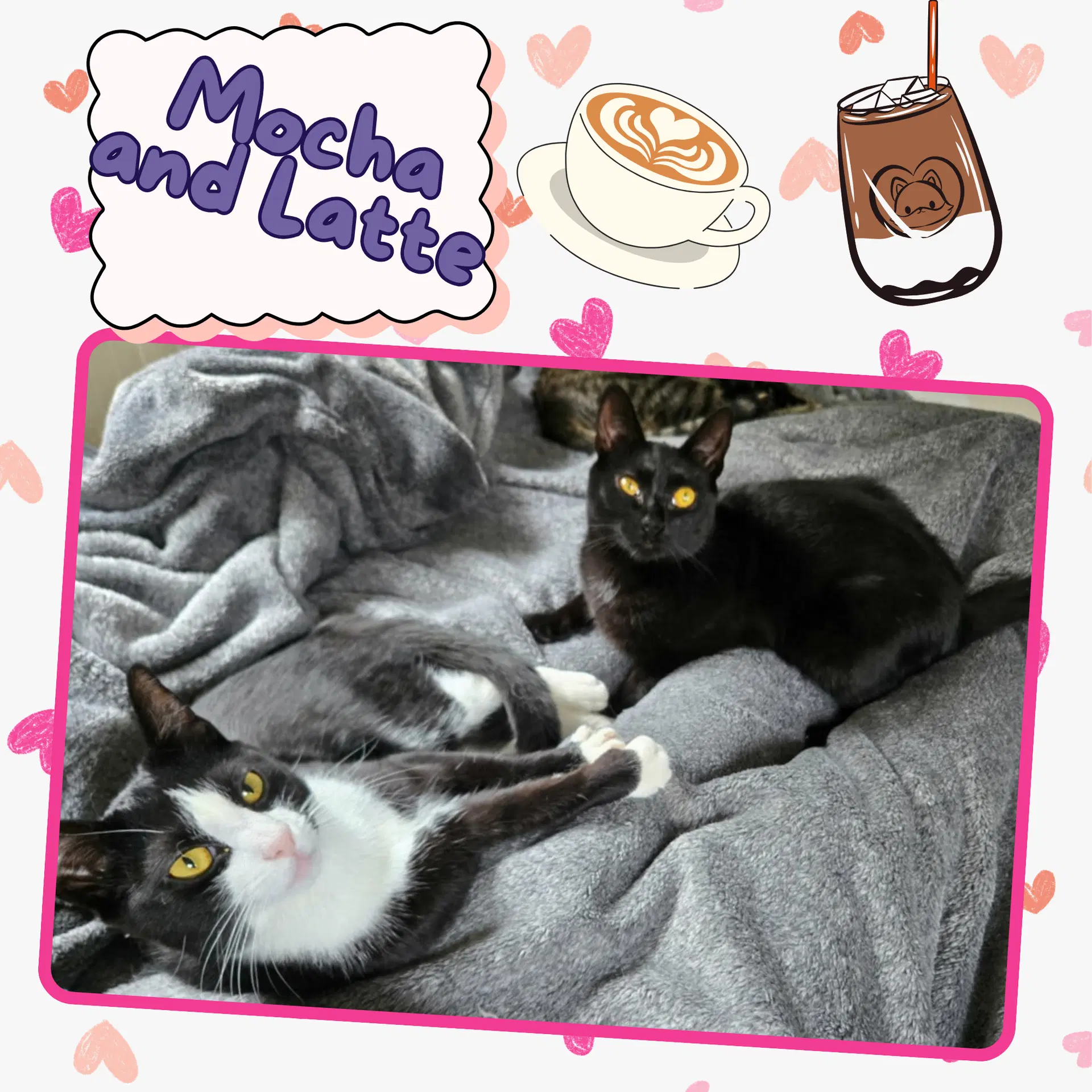 Mocha And Latte image 3