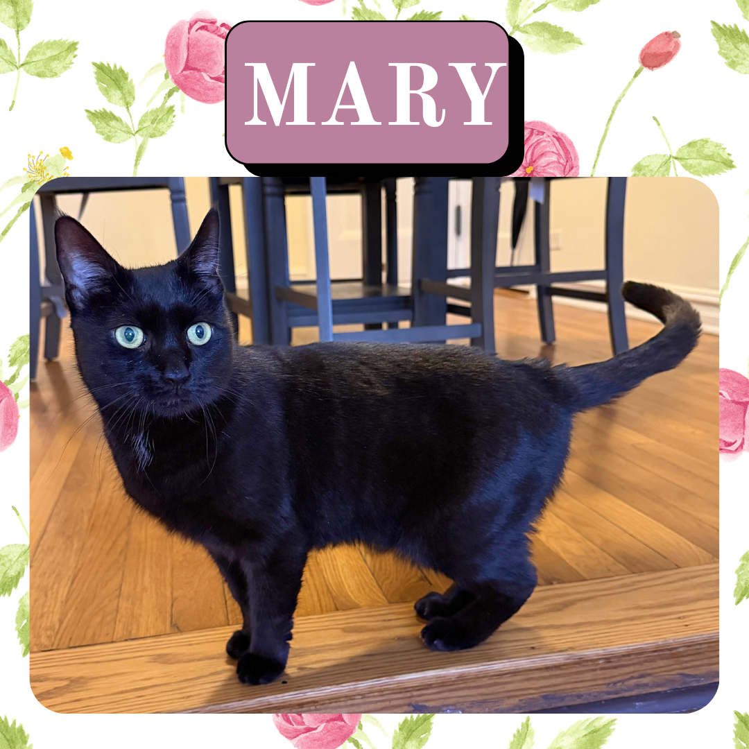 Mary
