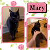 Mary