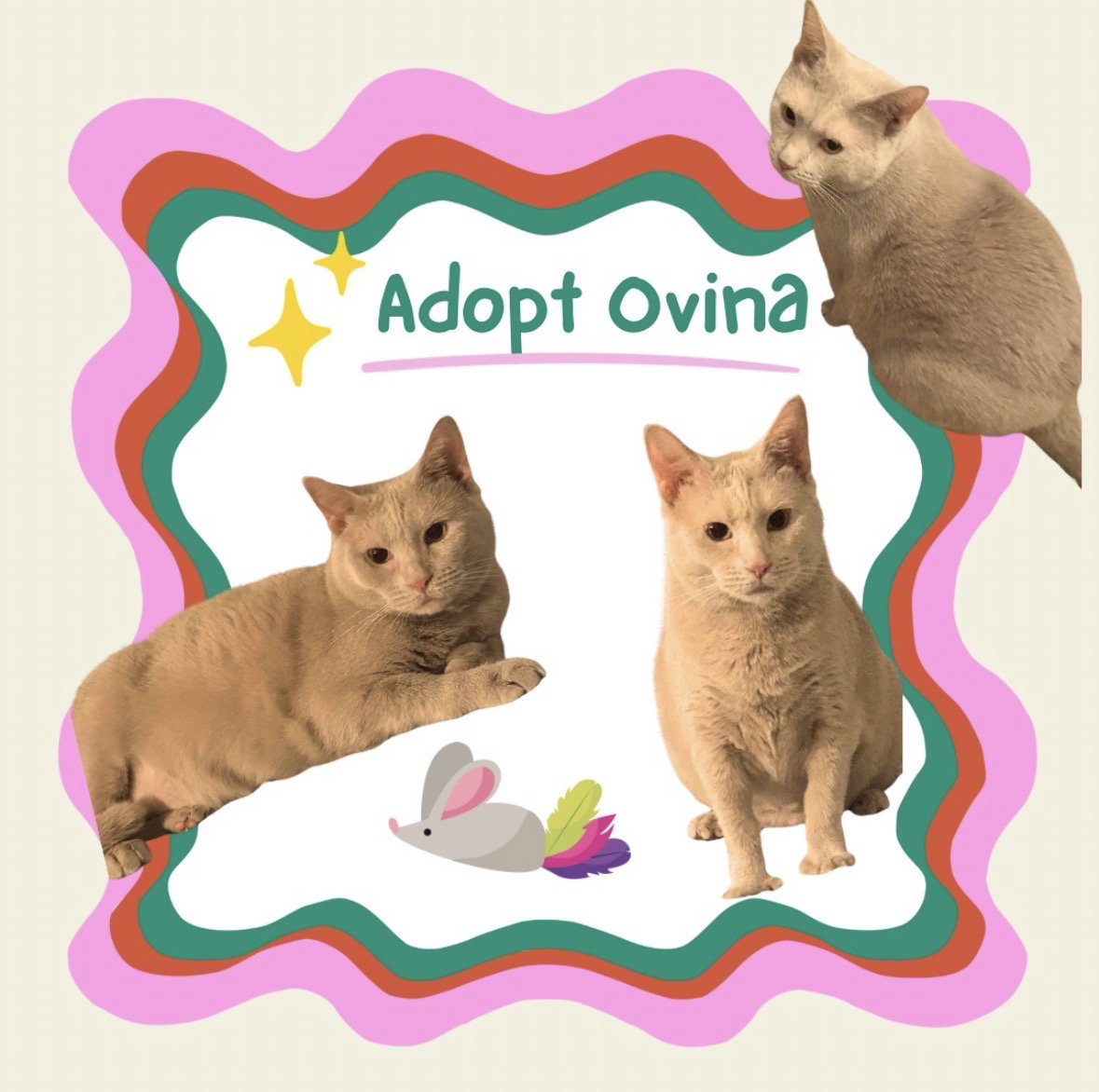 Ovina