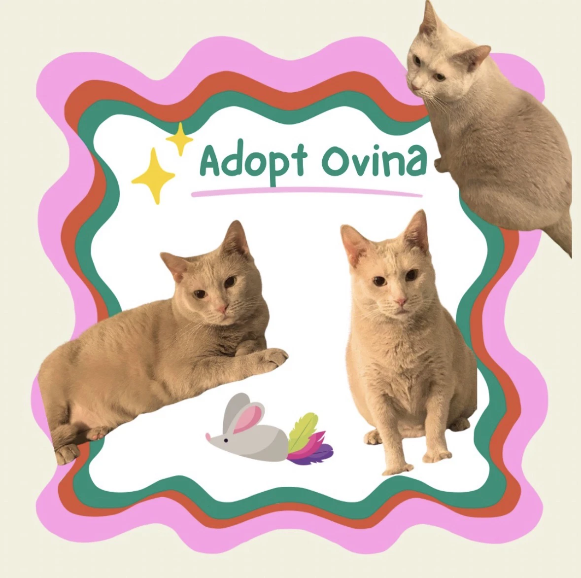 Ovina