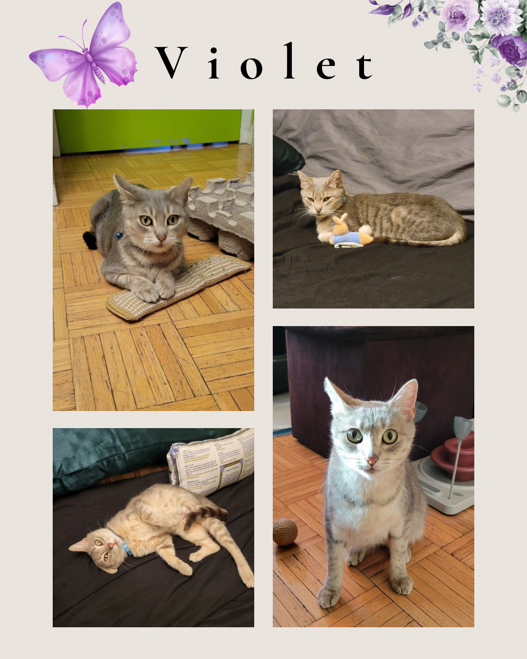 Violet