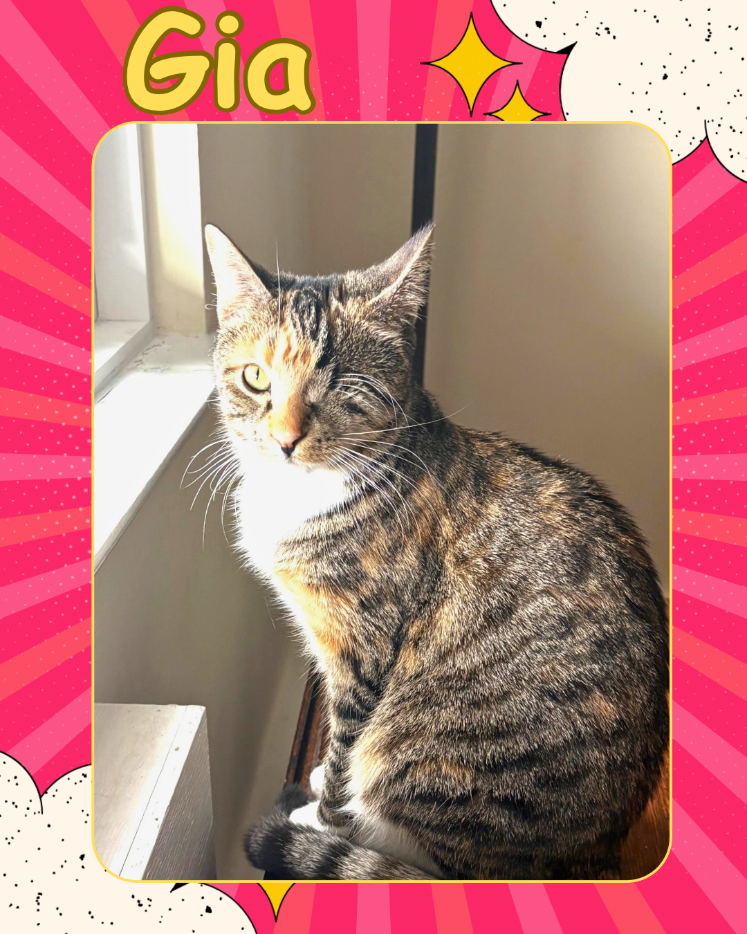 Gia - one eyed beauty