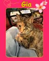 Gia - one eyed beauty