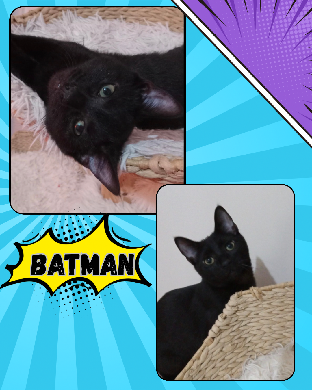 Batman Image