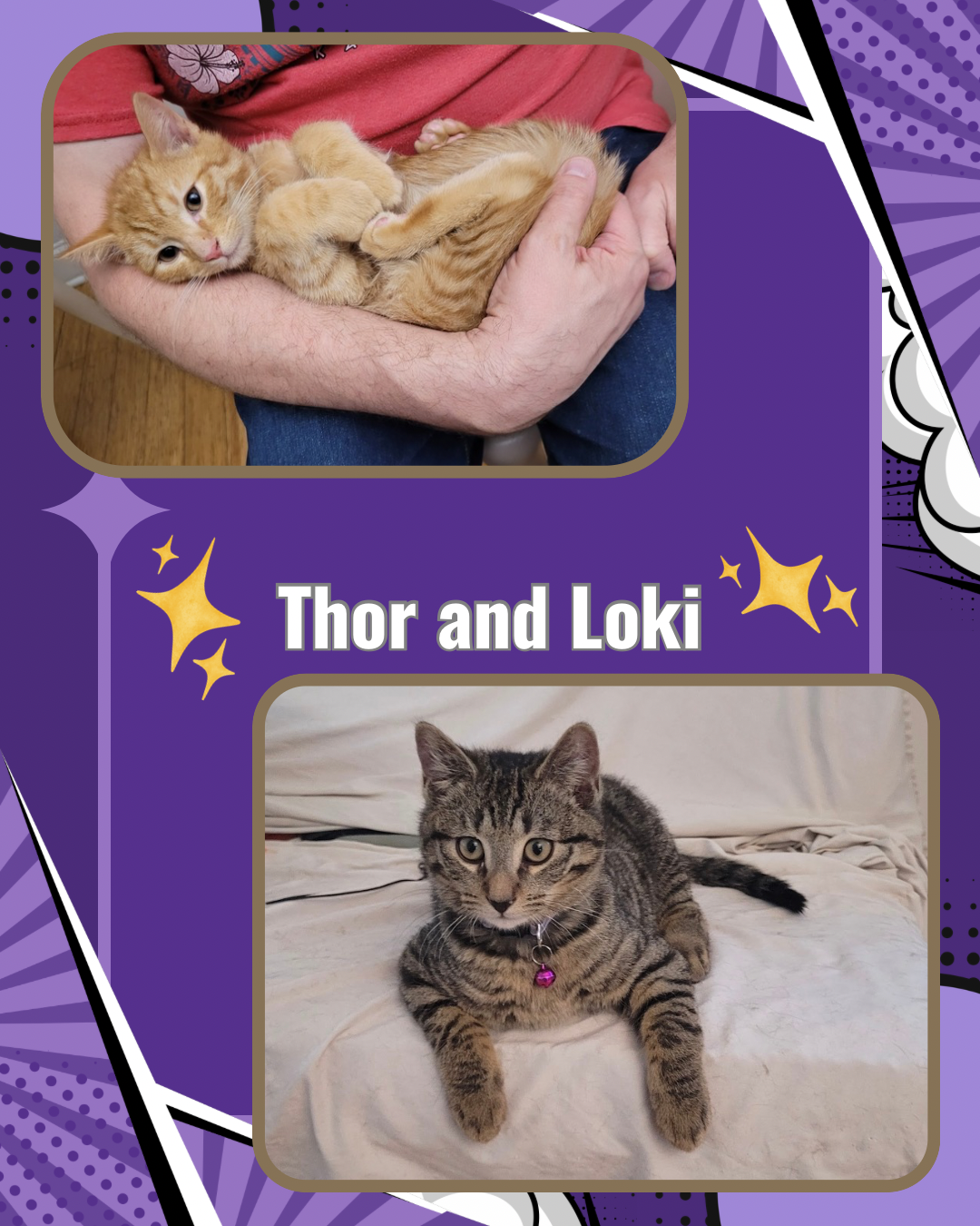 Thor and Loki Image