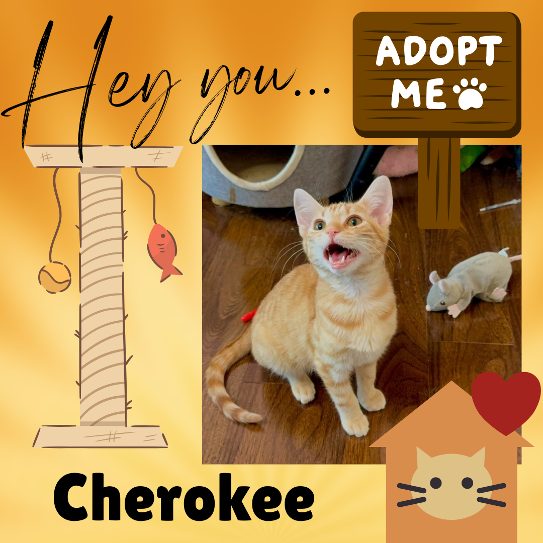 Cherokee Image