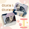 Charlie & Charlotte