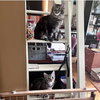 Charlie & Charlotte - Photo 7