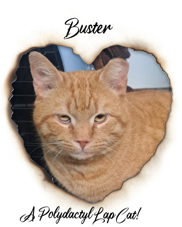 BUSTER