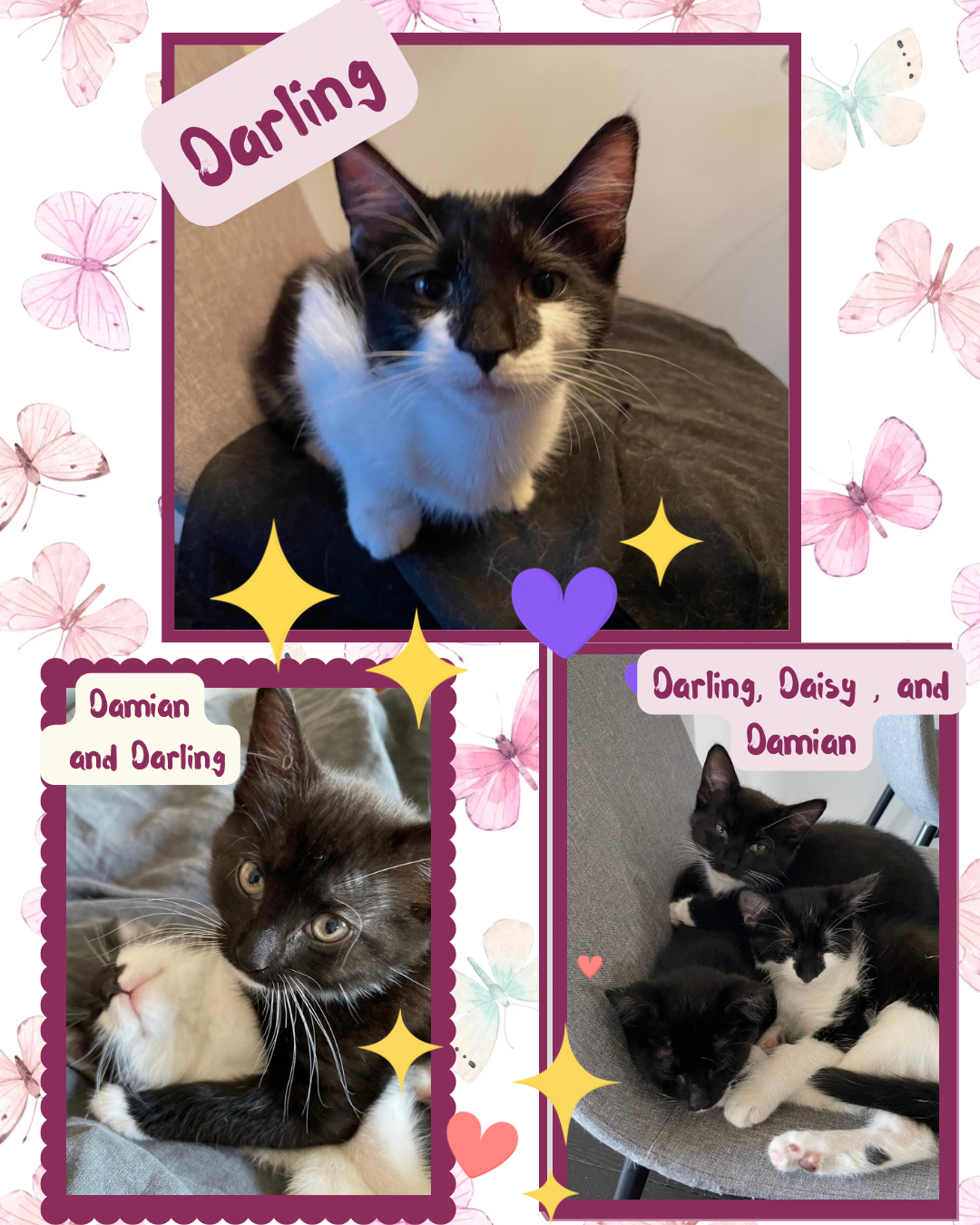 Darling, Daisy, and Damian