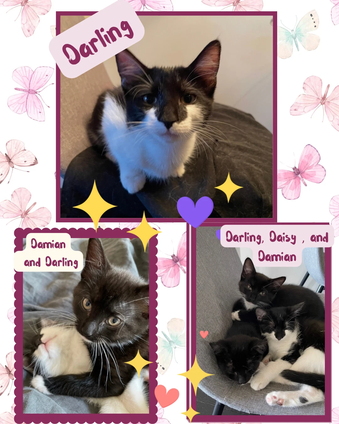 Daisy And Damian