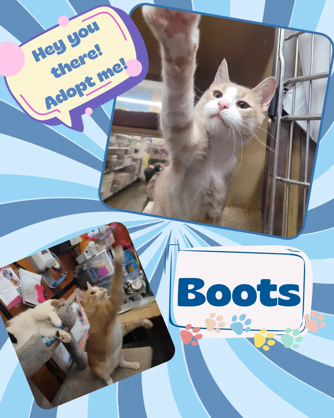 Boots image 2