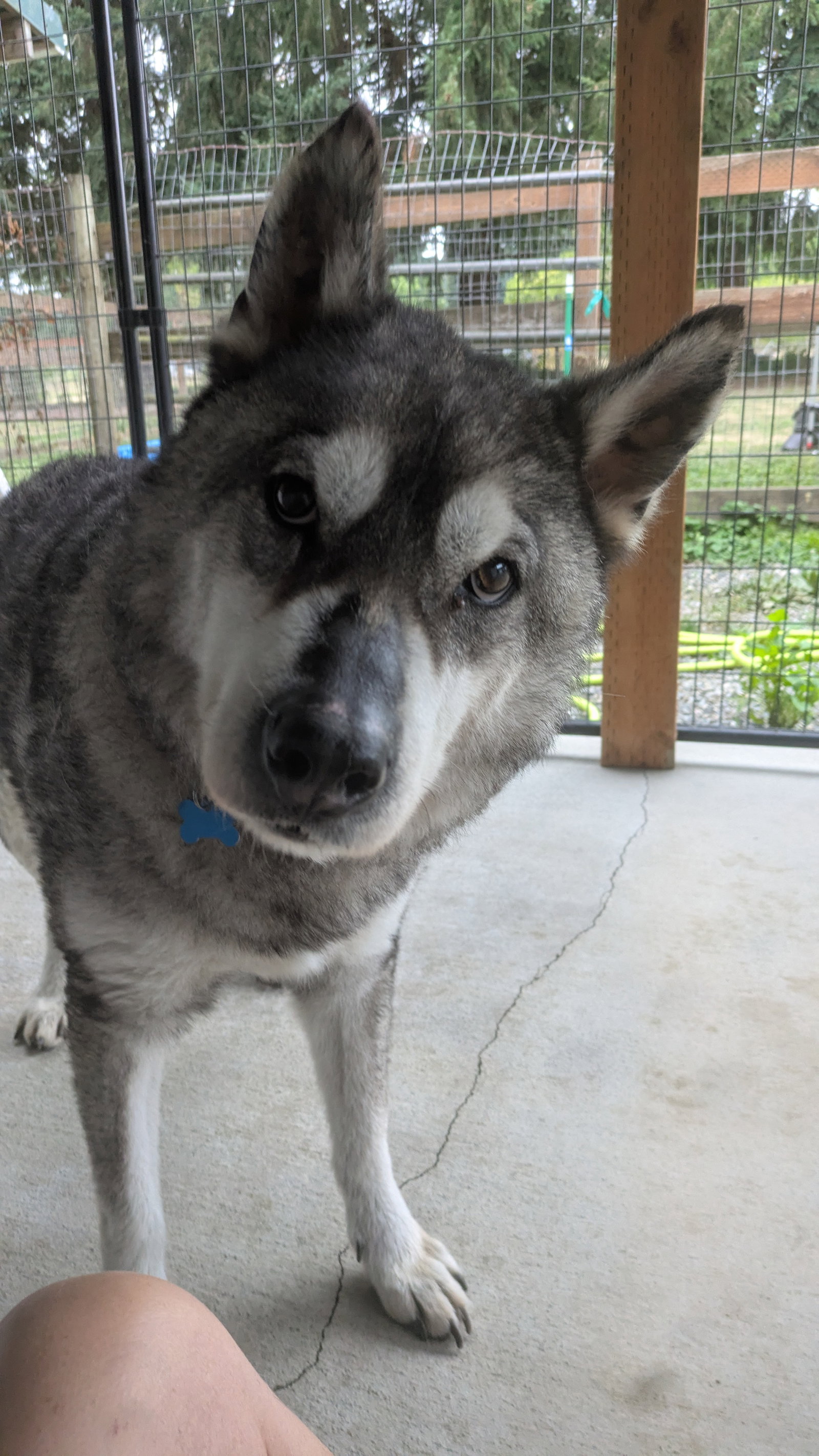 LOGAN