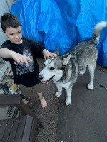 dog-image