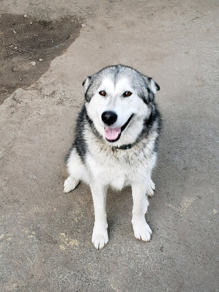 Lucy