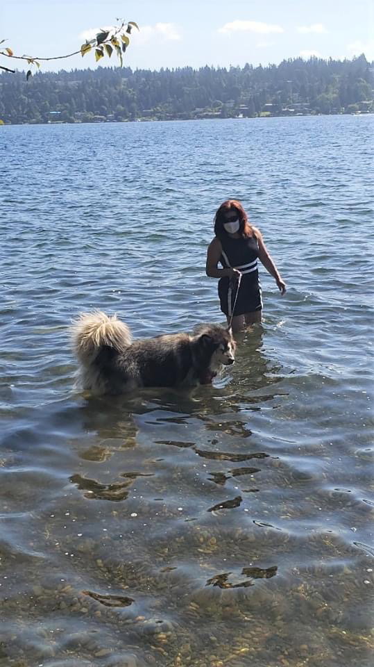 dog-image