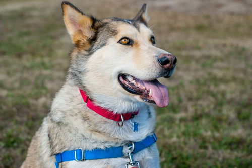 Kita