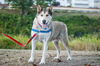 Kita