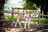 Kita