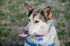 Kita