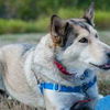 Kita