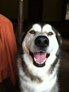 Annie