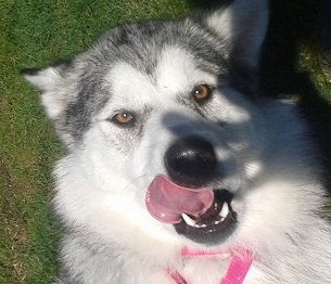 Kita