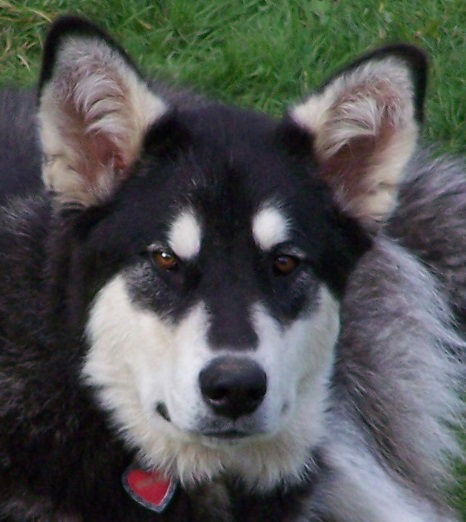 Miss Karma