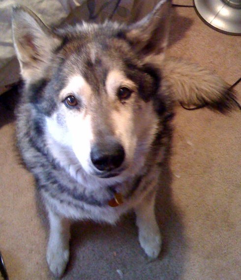 Misha