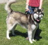 Kishka