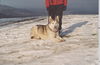 Lobo