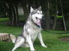 Kody