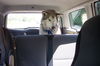 Koda