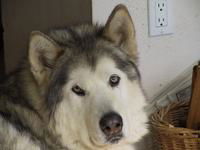 Kiska