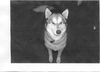 Mishka