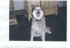 Mishka