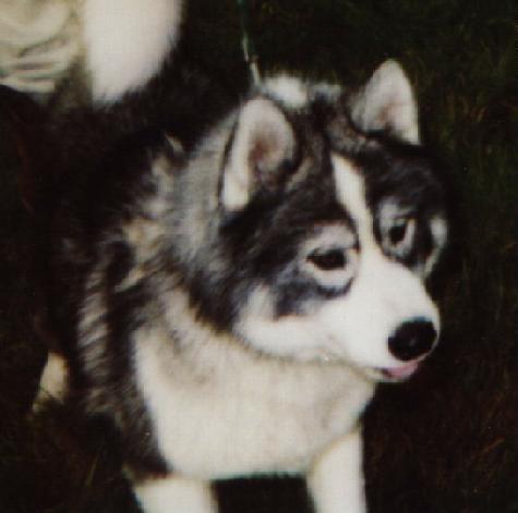Mika