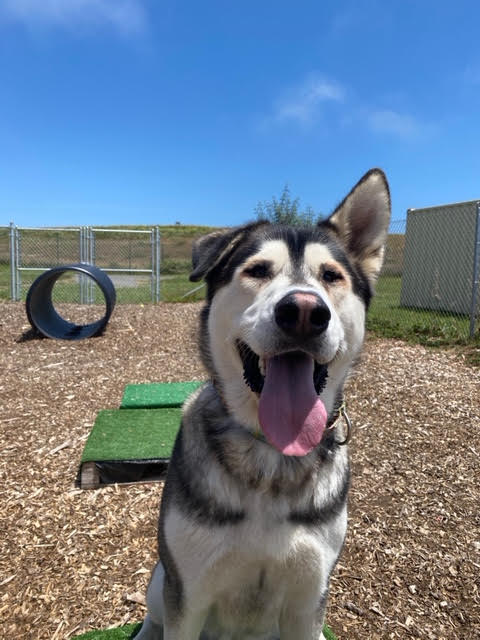 KUMA