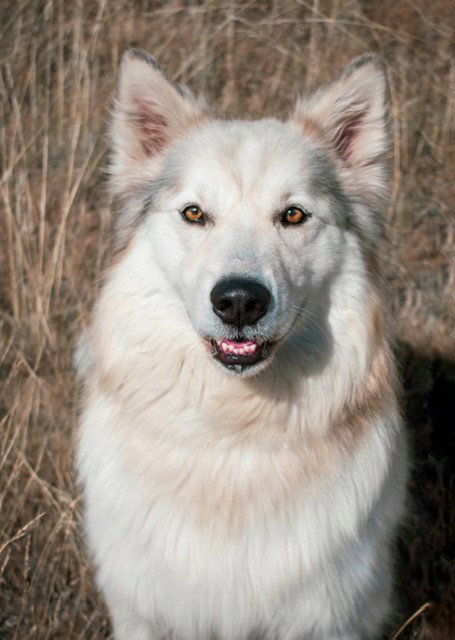 JJ (renamed Zeus)