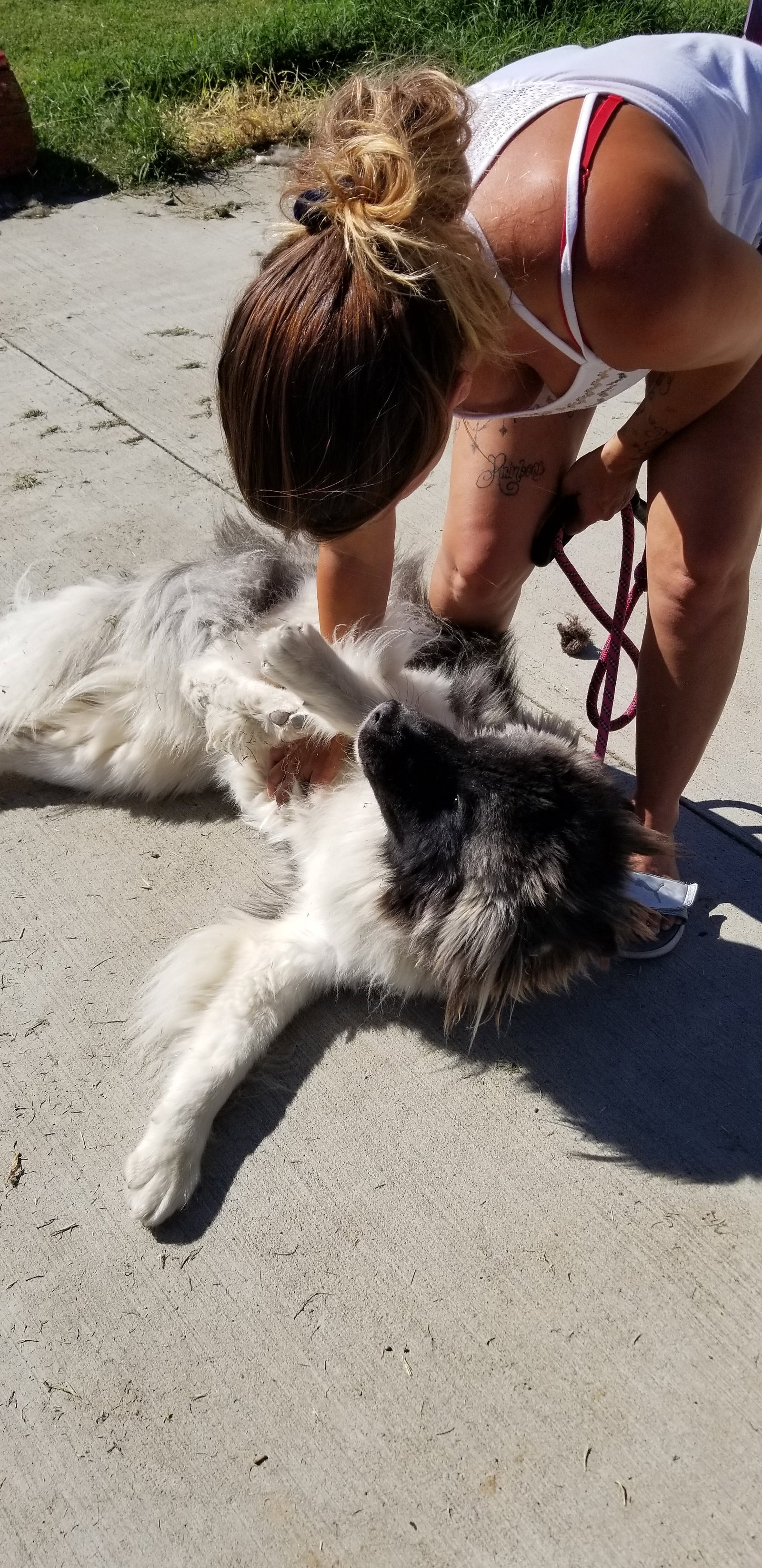 dog-image