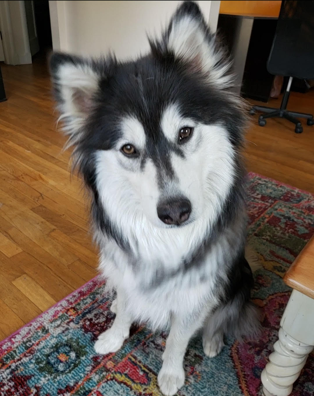 LUNA