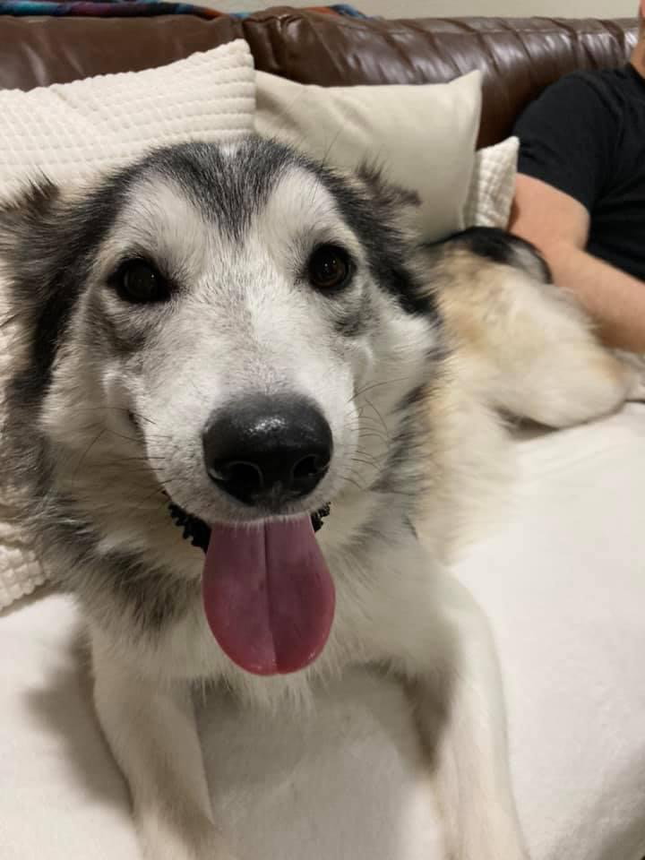 LEO (renamed Neo)
