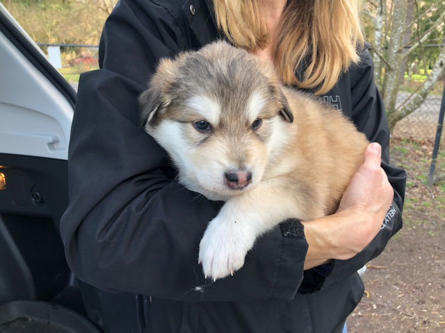 LUCKY (renamed Star)
