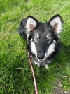 ARTIE (renamed Lana)