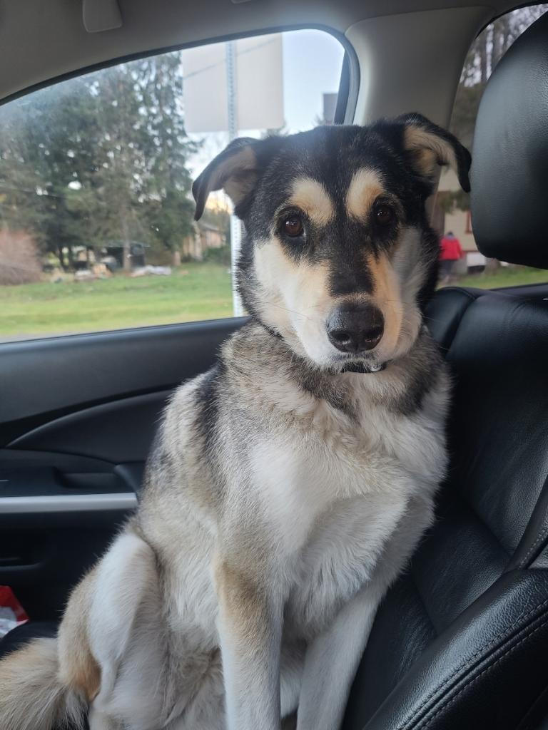 SUE (renamed Sage)