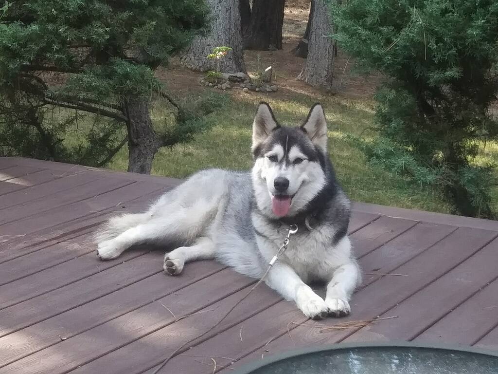 LULU